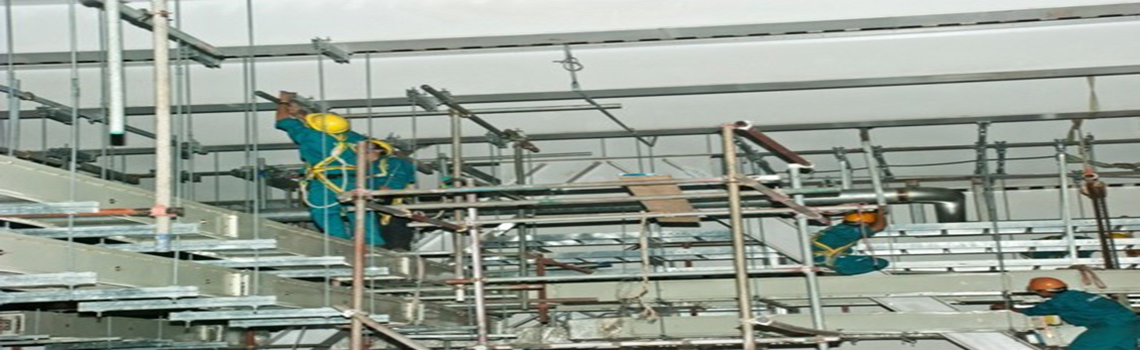 Banner 6